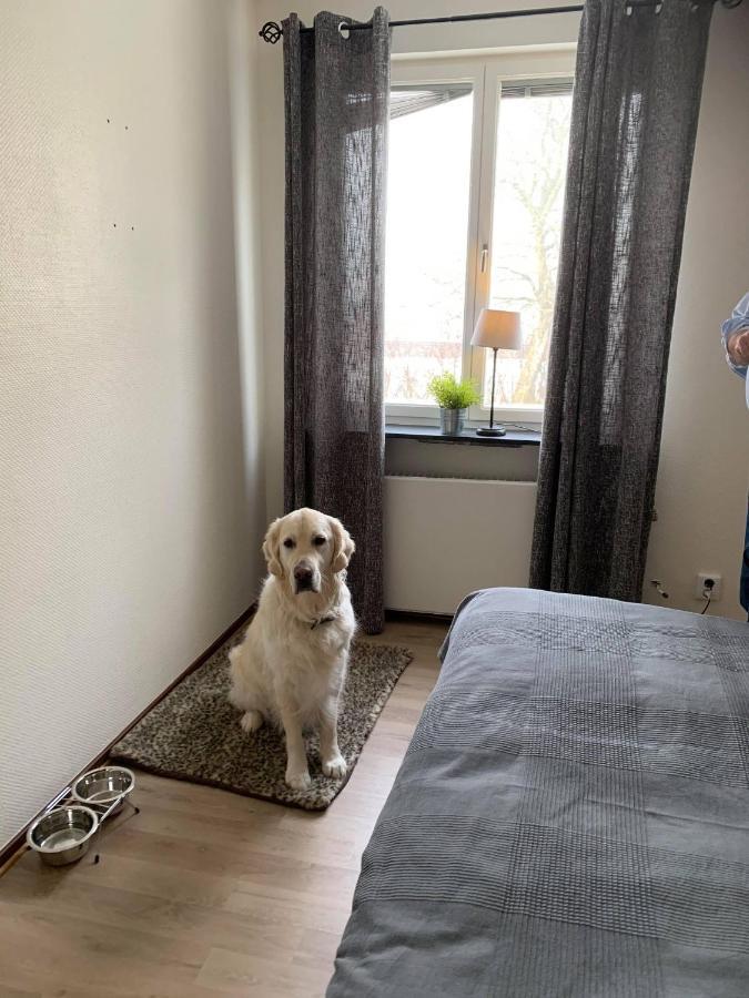 Bralanda Hotell Och Vandrarhem Zewnętrze zdjęcie